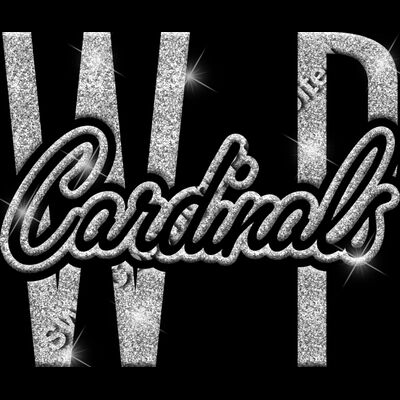 GLT95 SILVER GLITTER Thumbnail