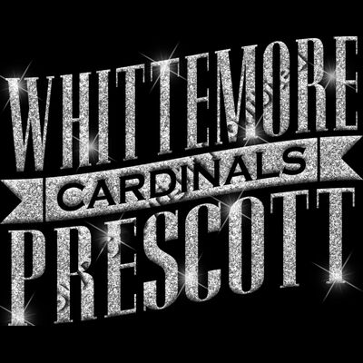 GLT57 SILVER GLITTER Thumbnail